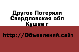 Другое Потеряли. Свердловская обл.,Кушва г.